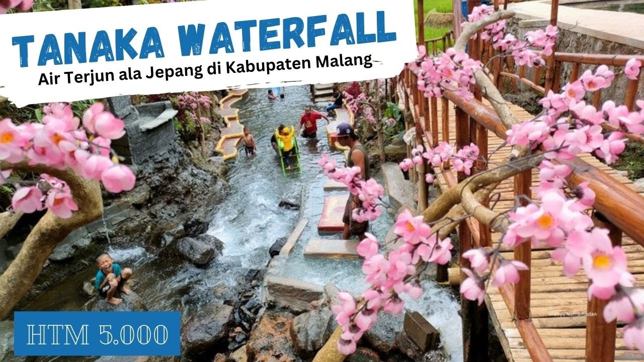 Jelajahi Pesona Wisata Air Terjun Tanaka: Keindahan Alam yang Memikat